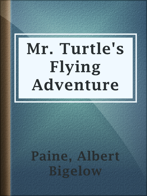 Cover image for Mr. Turtle's Flying Adventure